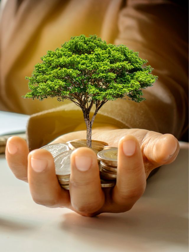 How to Choose the Best Sectors for Investment?
